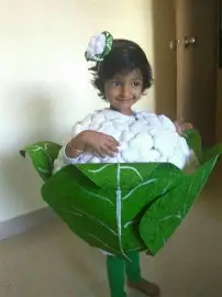 Apple Fruit Costume